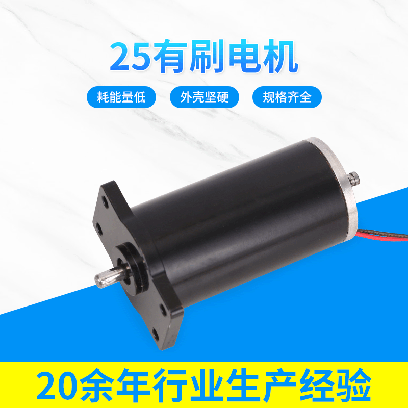 25有刷直流电机